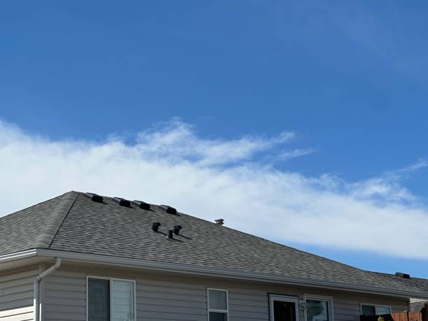 Roof Insulation in Rincon Valley, AZ